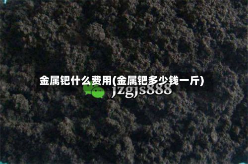 金属钯什么费用(金属钯多少钱一斤)-第2张图片