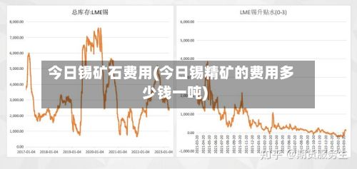 今日锡矿石费用(今日锡精矿的费用多少钱一吨)-第3张图片