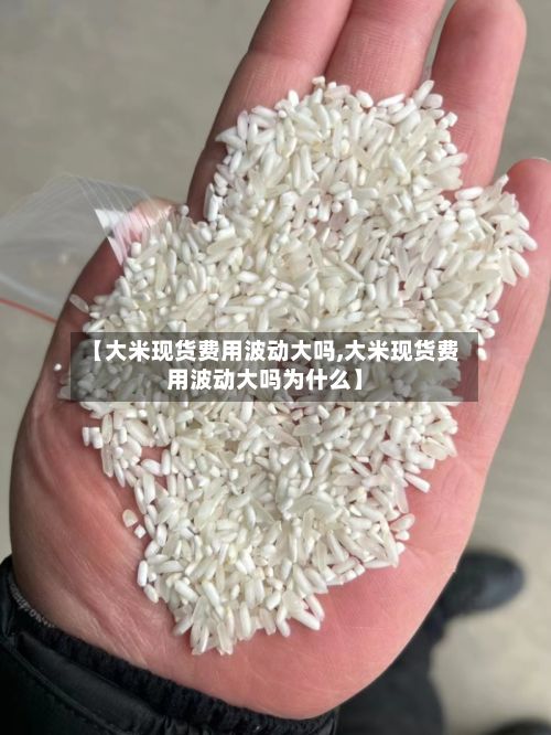 【大米现货费用波动大吗,大米现货费用波动大吗为什么】