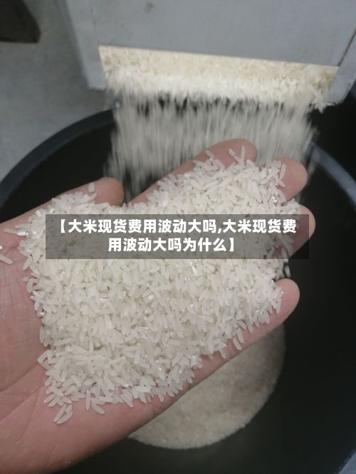 【大米现货费用波动大吗,大米现货费用波动大吗为什么】-第2张图片
