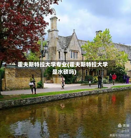 霍夫斯特拉大学专业(霍夫斯特拉大学是水硕吗)