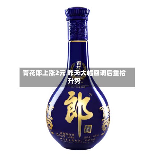 青花郎上涨2元 昨天大幅回调后重拾升势