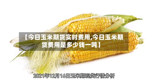 【今日玉米期货实时费用,今日玉米期货费用是多少钱一吨】-第2张图片