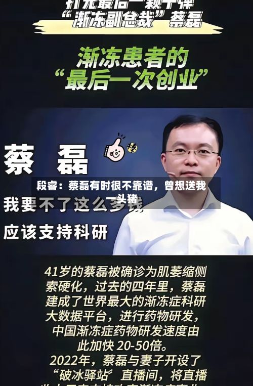 段睿：蔡磊有时很不靠谱，曾想送我一头猪-第2张图片