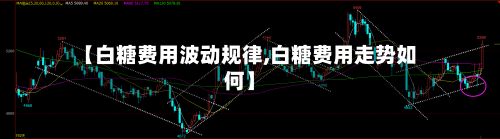 【白糖费用波动规律,白糖费用走势如何】-第2张图片