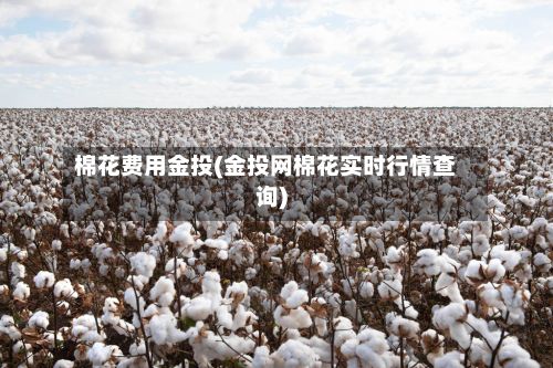 棉花费用金投(金投网棉花实时行情查询)-第3张图片