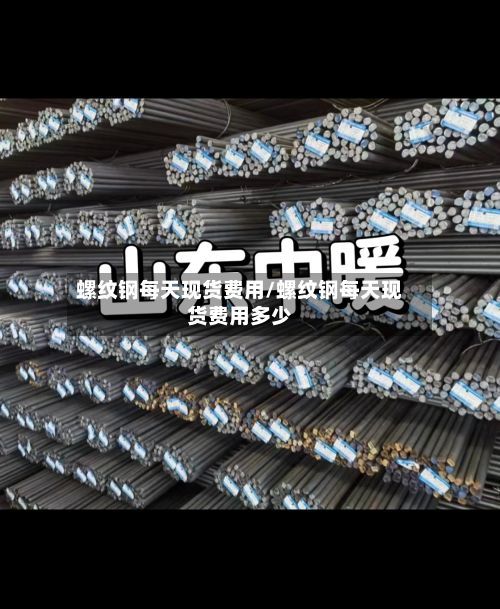 螺纹钢每天现货费用/螺纹钢每天现货费用多少