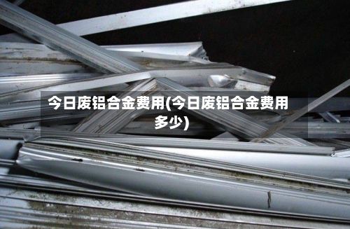 今日废铝合金费用(今日废铝合金费用多少)