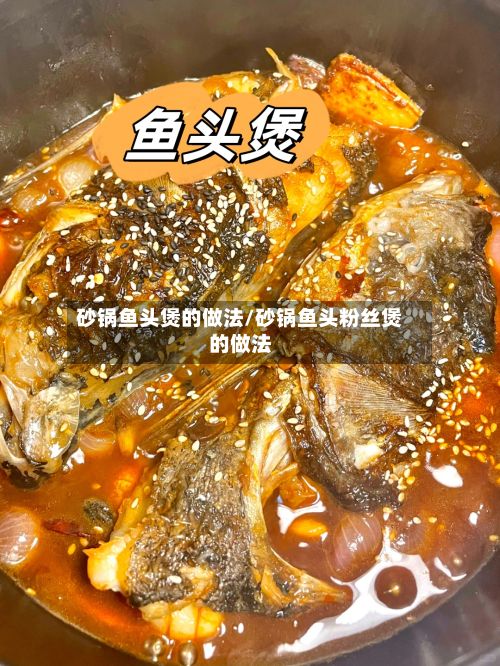 砂锅鱼头煲的做法/砂锅鱼头粉丝煲的做法