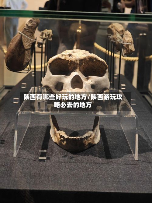 陕西有哪些好玩的地方/陕西游玩攻略必去的地方-第2张图片