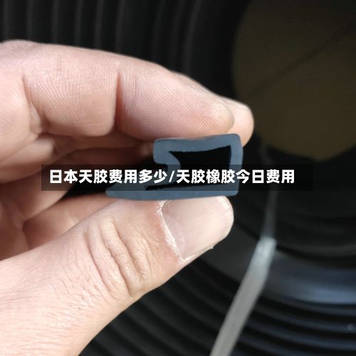 日本天胶费用多少/天胶橡胶今日费用