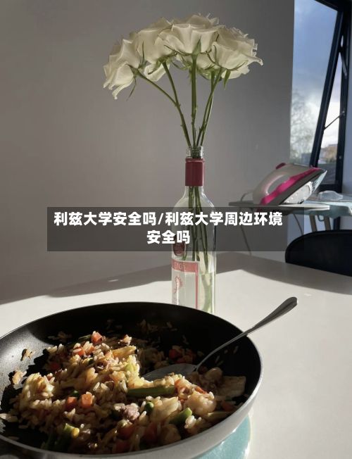 利兹大学安全吗/利兹大学周边环境安全吗-第3张图片