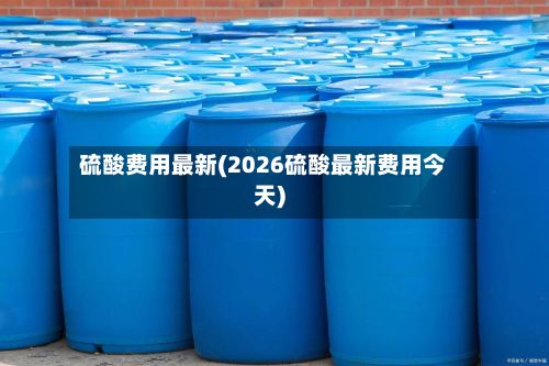 硫酸费用最新(2026硫酸最新费用今天)
