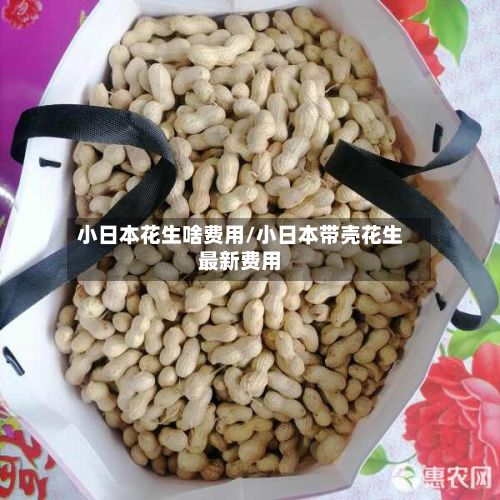 小日本花生啥费用/小日本带壳花生最新费用-第3张图片