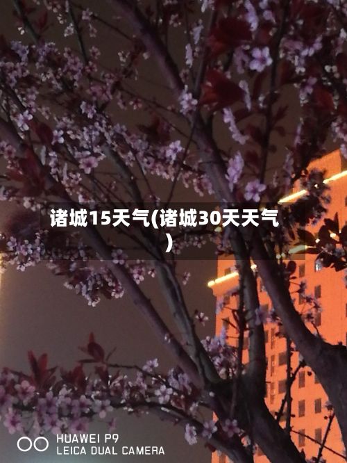 诸城15天气(诸城30天天气)-第2张图片