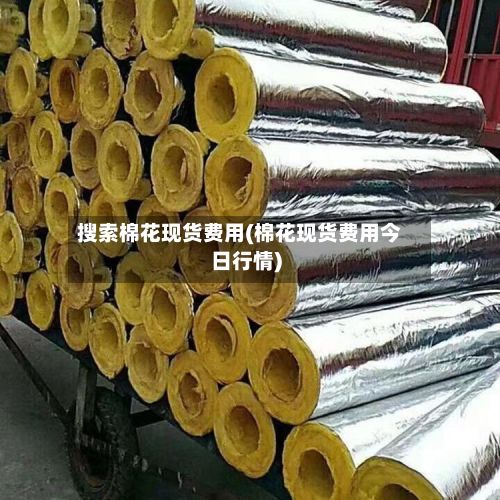 搜索棉花现货费用(棉花现货费用今日行情)