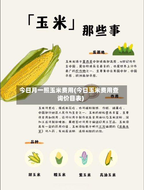 今日月一照玉米费用(今日玉米费用查询价目表)-第2张图片