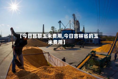 【今日昌黎玉米费用,今日吉林省的玉米费用】
