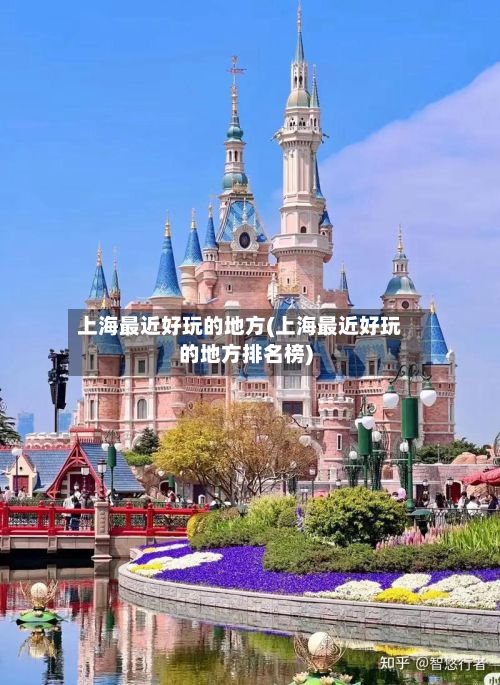 上海最近好玩的地方(上海最近好玩的地方排名榜)