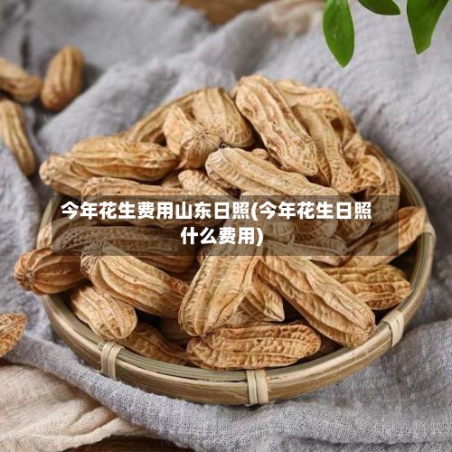 今年花生费用山东日照(今年花生日照什么费用)