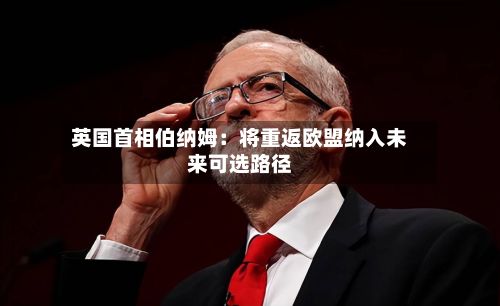 英国首相伯纳姆:将重返欧盟纳入未来可选路径-第2张图片