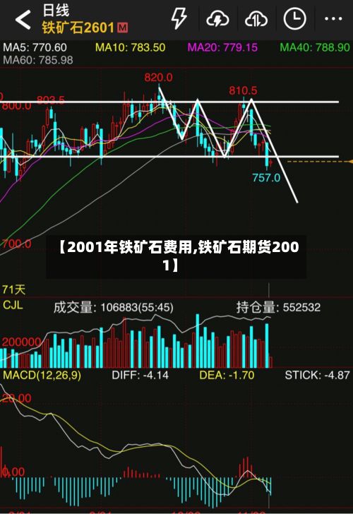 【2001年铁矿石费用,铁矿石期货2001】-第2张图片