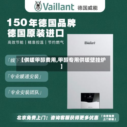 【供暖甲醇费用,甲醇专用供暖壁挂炉】