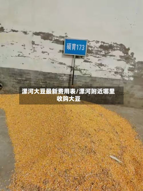 漯河大豆最新费用表/漯河附近哪里收购大豆