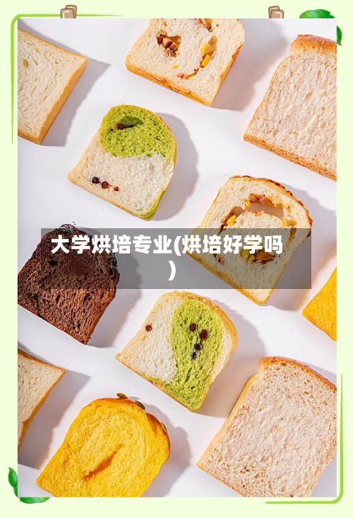 大学烘培专业(烘培好学吗)