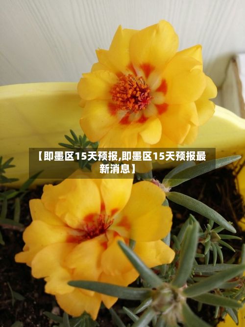 【即墨区15天预报,即墨区15天预报最新消息】-第2张图片