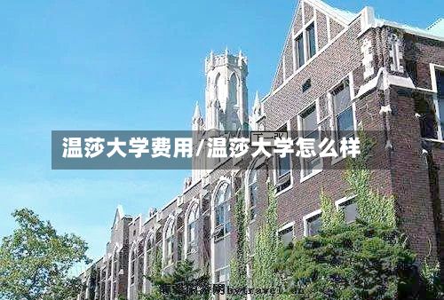 温莎大学费用/温莎大学怎么样-第2张图片