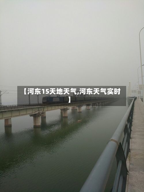 【河东15天地天气,河东天气实时】-第2张图片