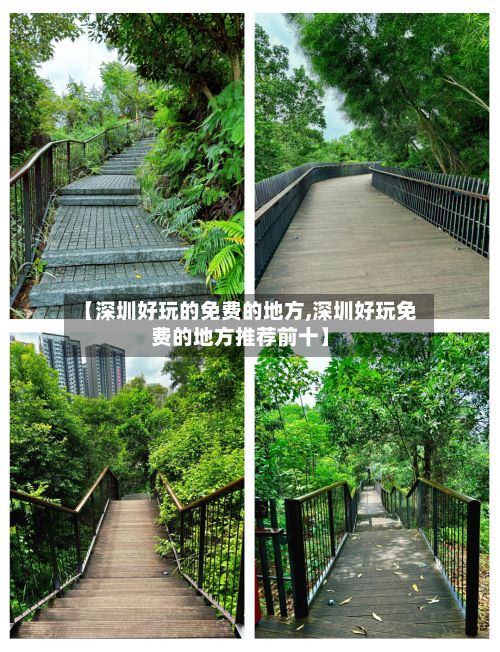 【深圳好玩的免费的地方,深圳好玩免费的地方推荐前十】