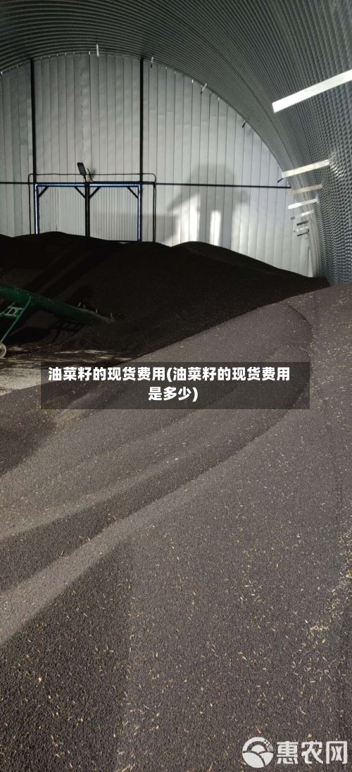 油菜籽的现货费用(油菜籽的现货费用是多少)