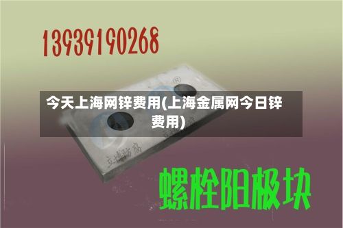 今天上海网锌费用(上海金属网今日锌费用)-第2张图片