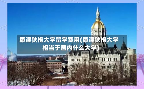 康涅狄格大学留学费用(康涅狄格大学相当于国内什么大学)
