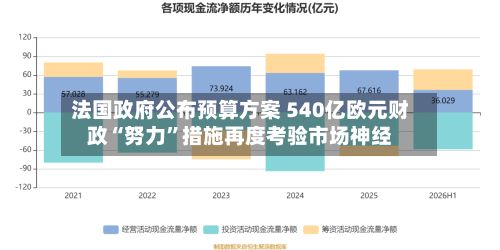 法国政府公布预算方案 540亿欧元财政“努力”措施再度考验市场神经-第3张图片
