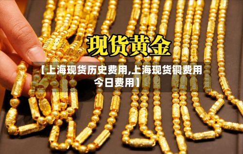 【上海现货历史费用,上海现货铜费用今日费用】-第2张图片