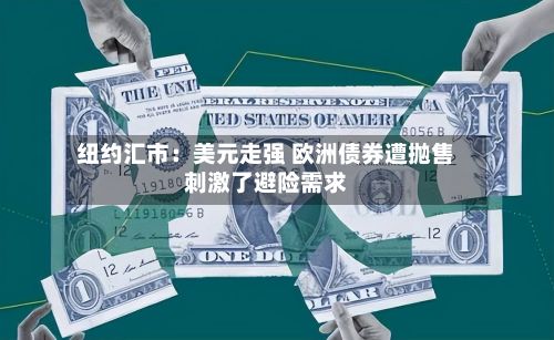 纽约汇市：美元走强 欧洲债券遭抛售刺激了避险需求