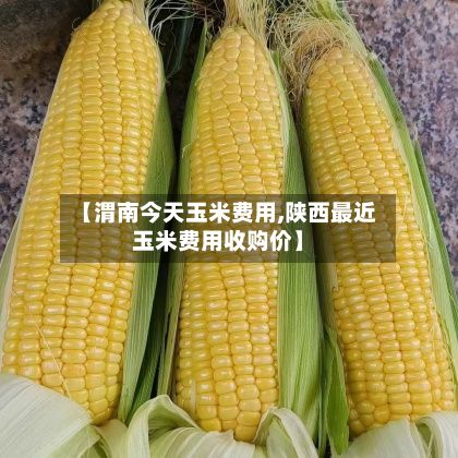 【渭南今天玉米费用,陕西最近玉米费用收购价】