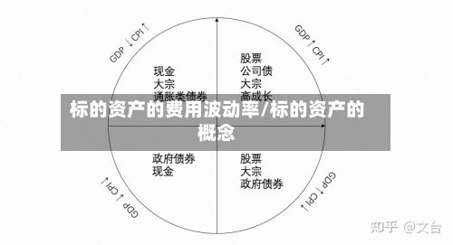 标的资产的费用波动率/标的资产的概念