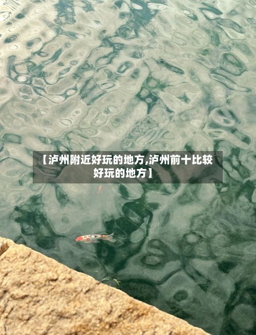 【泸州附近好玩的地方,泸州前十比较好玩的地方】-第2张图片
