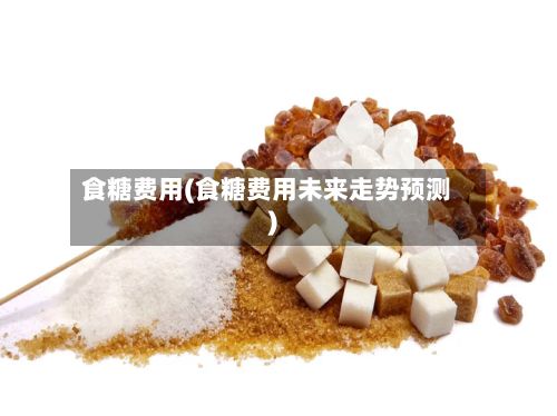 食糖费用(食糖费用未来走势预测)