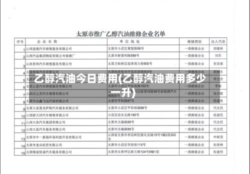 乙醇汽油今日费用(乙醇汽油费用多少一升)