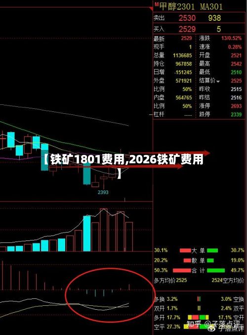 【铁矿1801费用,2026铁矿费用】-第2张图片