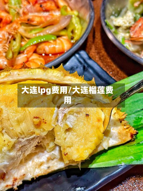 大连lpg费用/大连榴莲费用-第3张图片