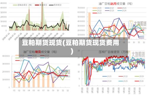 豆粕期货现货(豆粕期货现货费用)-第2张图片