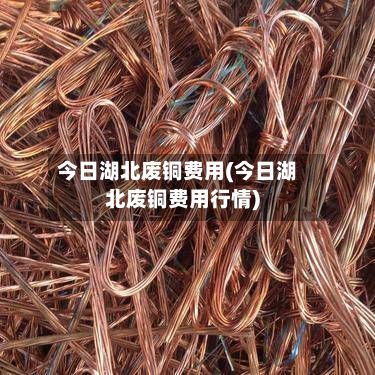 今日湖北废铜费用(今日湖北废铜费用行情)-第2张图片