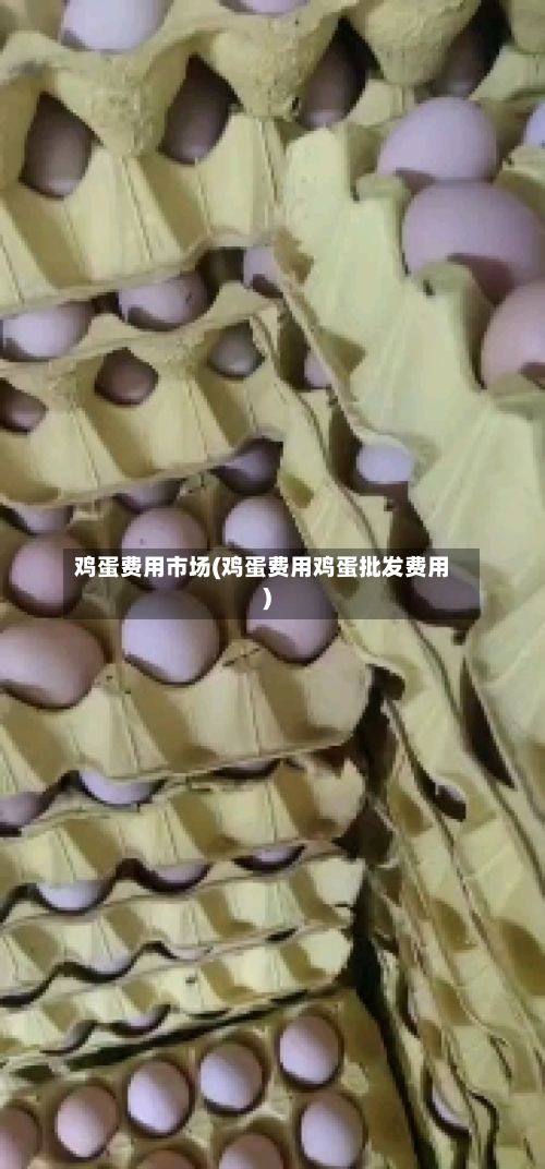 鸡蛋费用市场(鸡蛋费用鸡蛋批发费用)-第3张图片