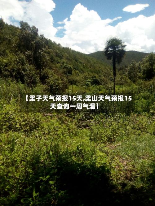【梁子天气预报15天,梁山天气预报15天查询一周气温】